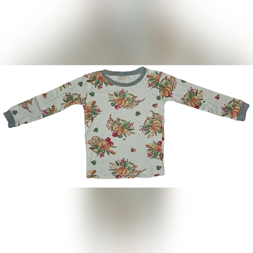 Burt’s Bees Kids Organic Cotton Pajama Set Thanksgiving Fall Pumpkin Harvest 4T - Picture 4 of 16